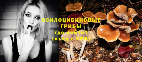 дживик Пересвет