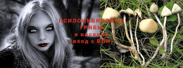 мяу мяу мука Покачи