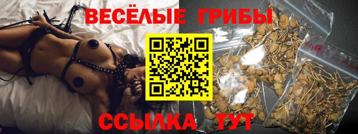 Галлюциногенные грибы Psilocybine cubensis Лабытнанги