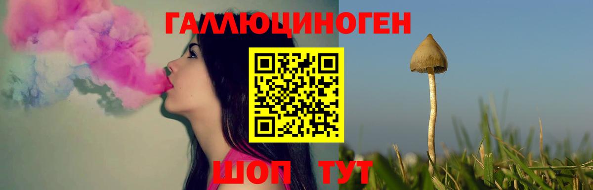 Лабытнанги  Галлюциногенные грибы Psilocybine cubensis  Вход с VPN 